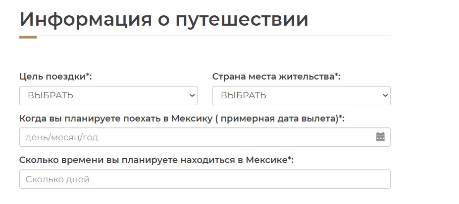 Анкета на мексиканскую электронную визу